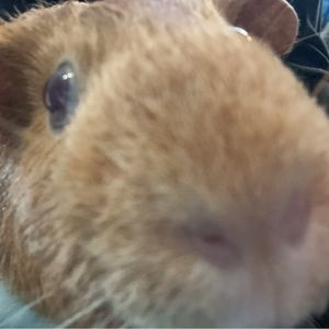 Meet your Posher, Kasey